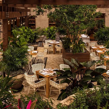 The Ritz-Carlton Coconut Grove, Miami-3
